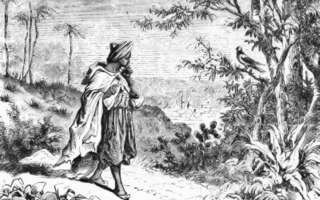 the legend of Omar who, in Mocha, started keeping awake Dervishes using coffee